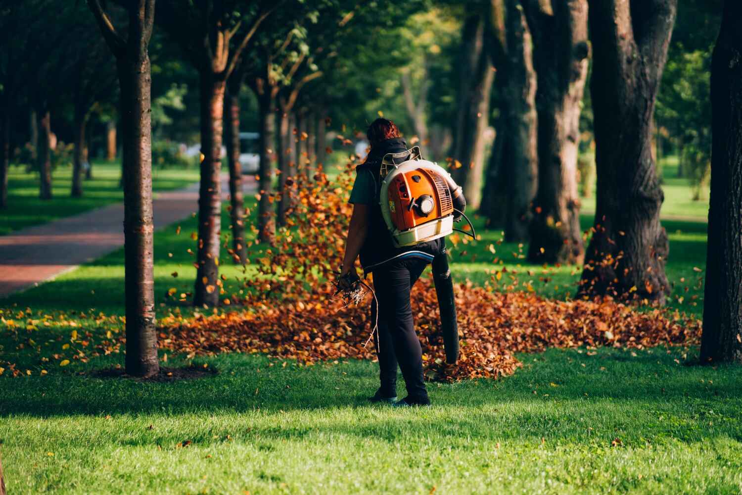 Best Emergency Tree Service  in Clare, MI